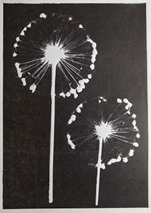 Alliums on Hosho paper