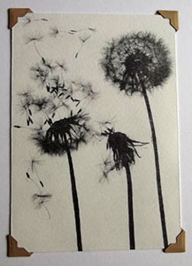 Dandelions (postcard-size)